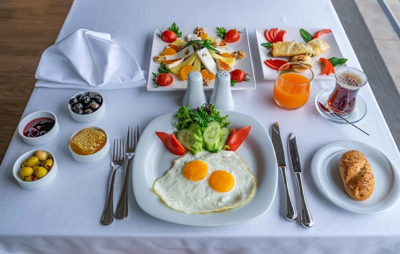 Point Hotel Taksim Istanbul Tyrkiet